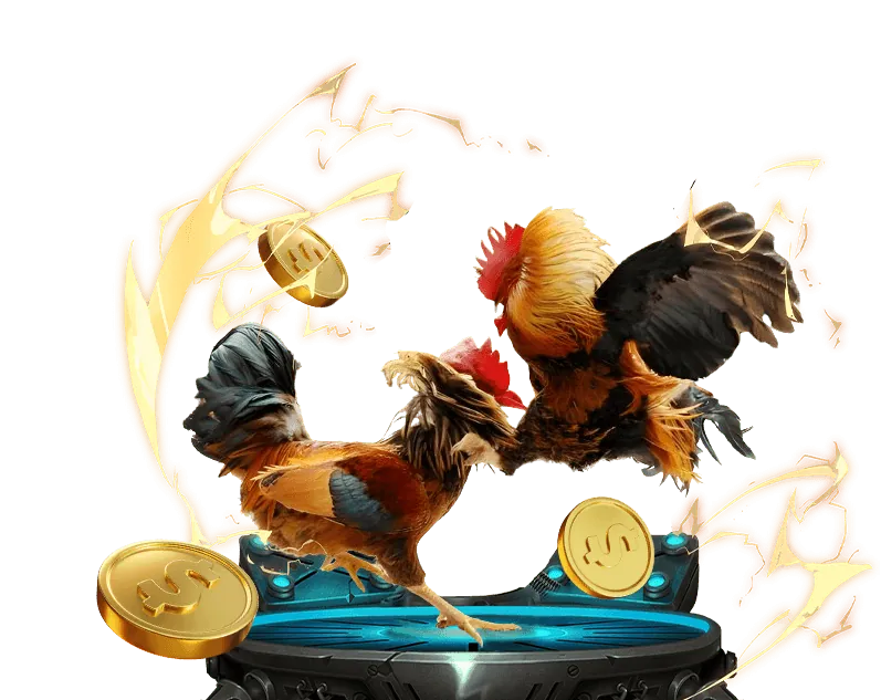 Các loại gà chiến đá gà cựa dao